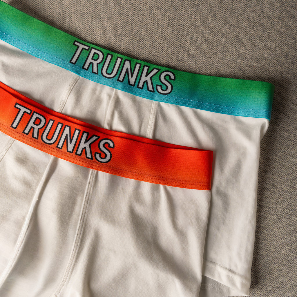BOXER BRIEF WHITE & ARCTIC GREEN