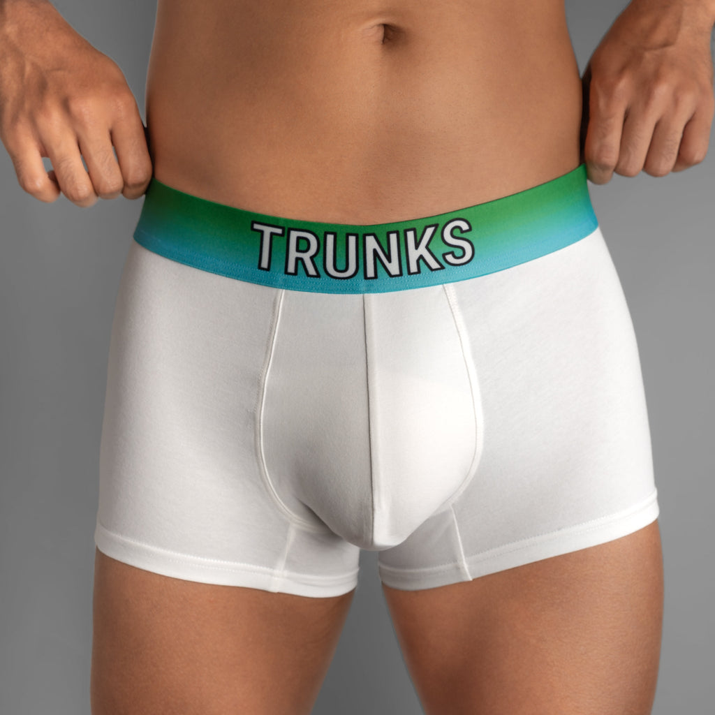 BOXER BRIEF WHITE & ARCTIC GREEN