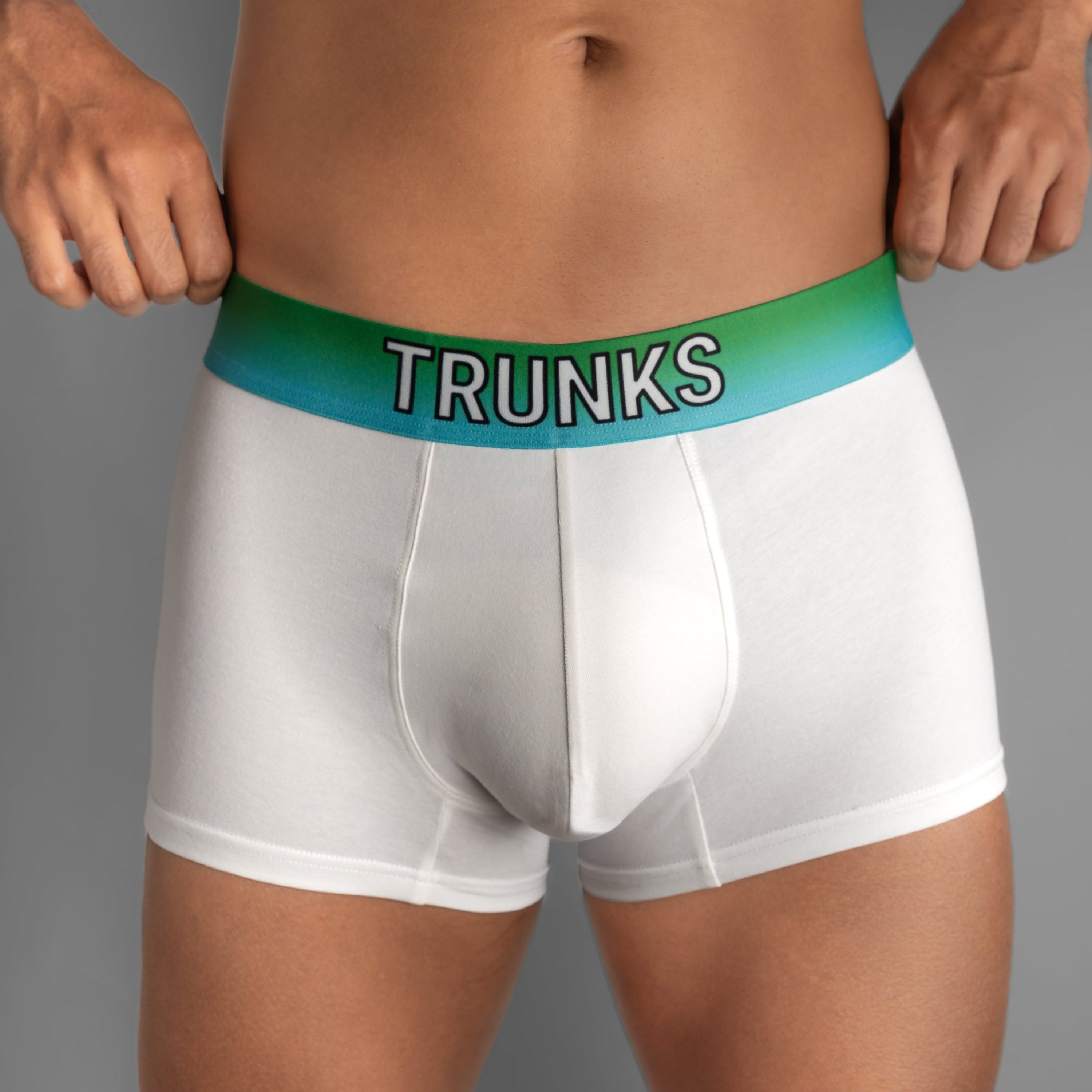 BOXER BRIEF WHITE & ARCTIC GREEN
